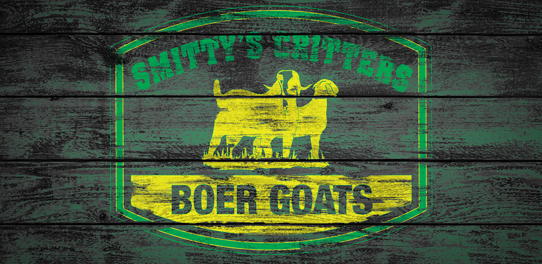ABGA Registered Boer Goats